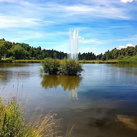 Ferienappartement Balbiani Hahnenklee-Harz Гослар Екстер'єр фото